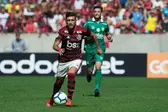 Foto: Alexandre Vidal/ Flamengo (Foto: Metrópoles)
