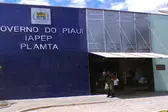 (Foto: Portal de Campo Maior) (Foto: Ascom)