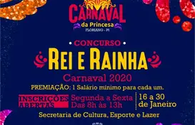 Carnaval de Floriano 2020 (Foto: )