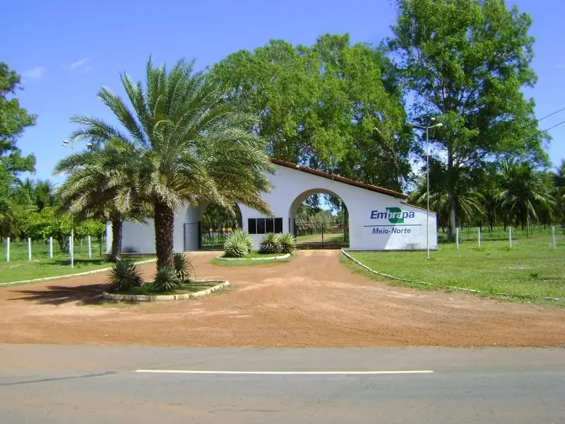 Embrapa Parnaíba- Foto: Jornal da Parnaíba
