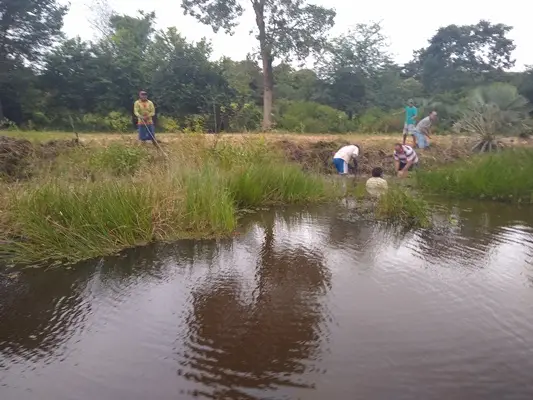 Logoa da Feliciana