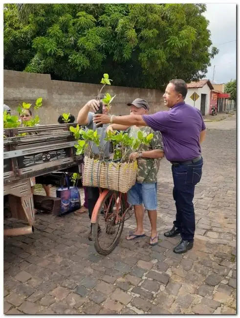 Sec. Erivan entregando mudas de cajueiro