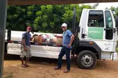 Distribuião de Kits da merenda escolar (Foto: Ascom)