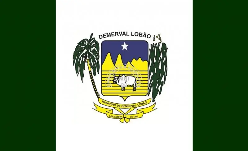 Bandeira do município de Demerval Lobão. Imagem: reprodução/internet
