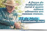 Foto: Reprodução (Foto: )