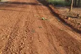  (Foto: Prefeitura de Água Branca/ SECOM)