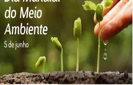  (Foto: Domingos Veloso)