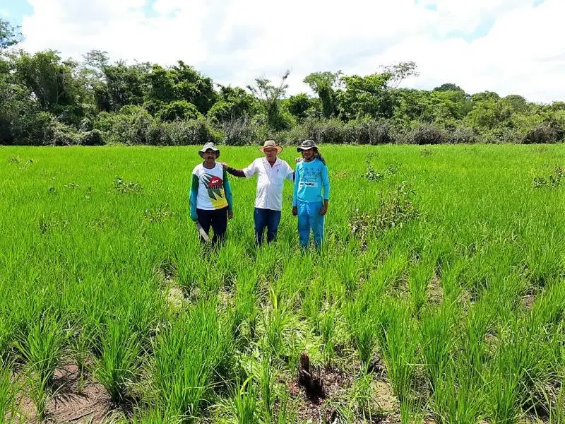 Secretário de Agricultura, Francisco Farias e produtores rurais.