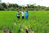 Secretário de Agricultura, Francisco Farias e produtores rurais. (Foto: ASCOM)