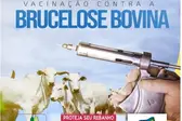 Foto: Reprodução (Foto: Ascom)