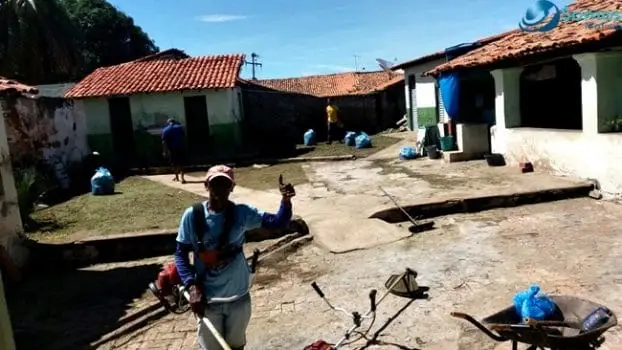 Foto : Divulgação 