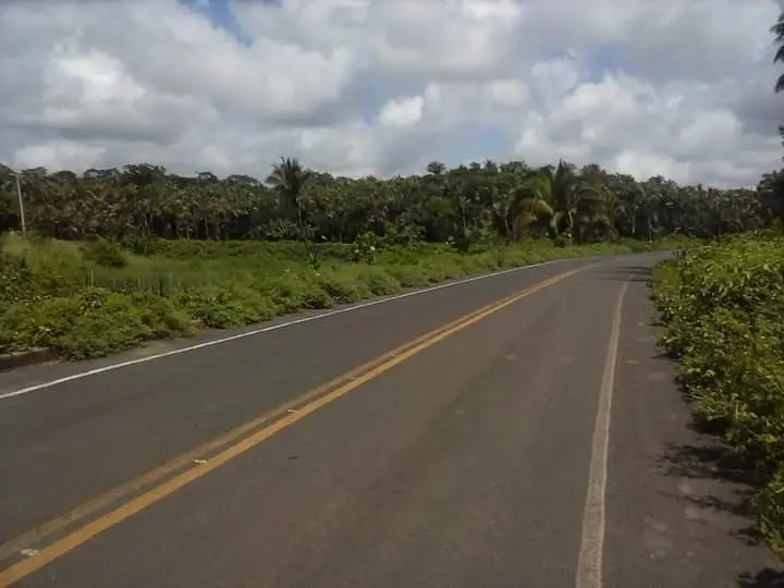 Trecho da BR 222 (Foto: Leônidas Silva)