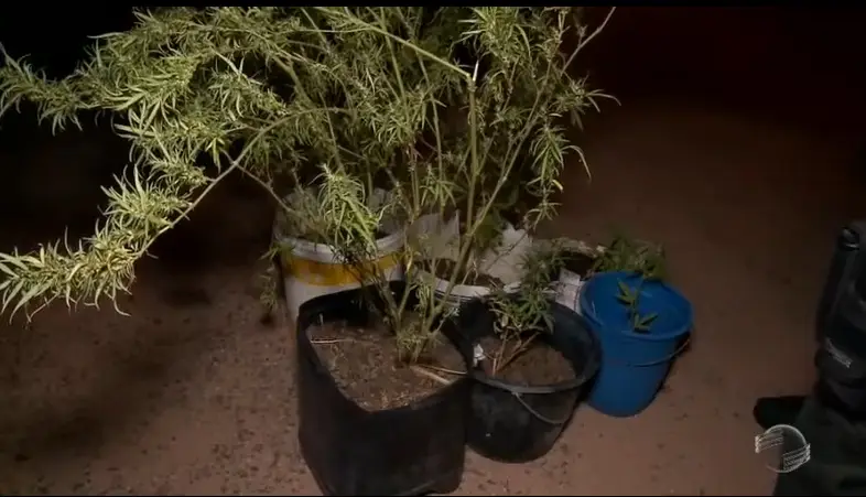Foto: Reprodução/TV Cidade Verde