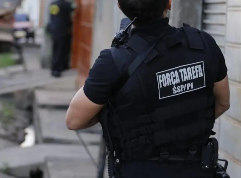 Foto: Reprodução/SSP-PI