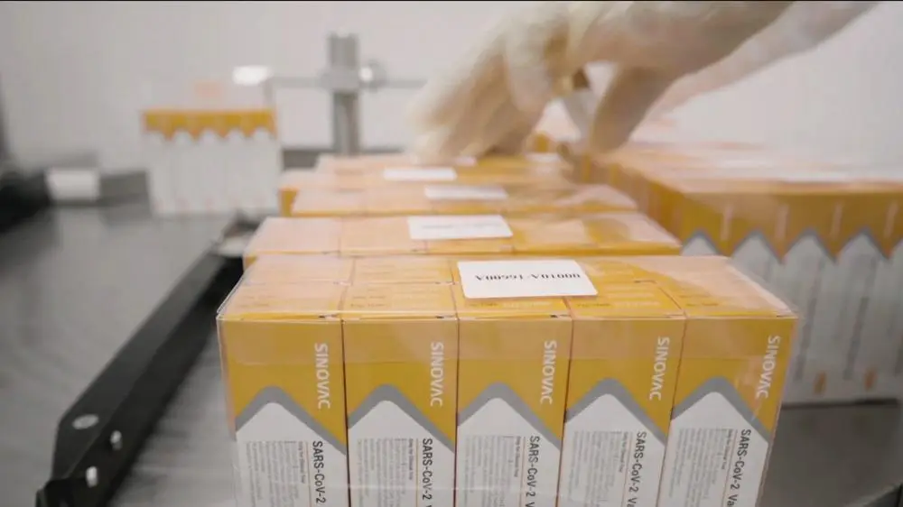 Números da pandemia: Brasil registra mais de 900 novas mortes por Covid-19 após atualização de dados atrasados