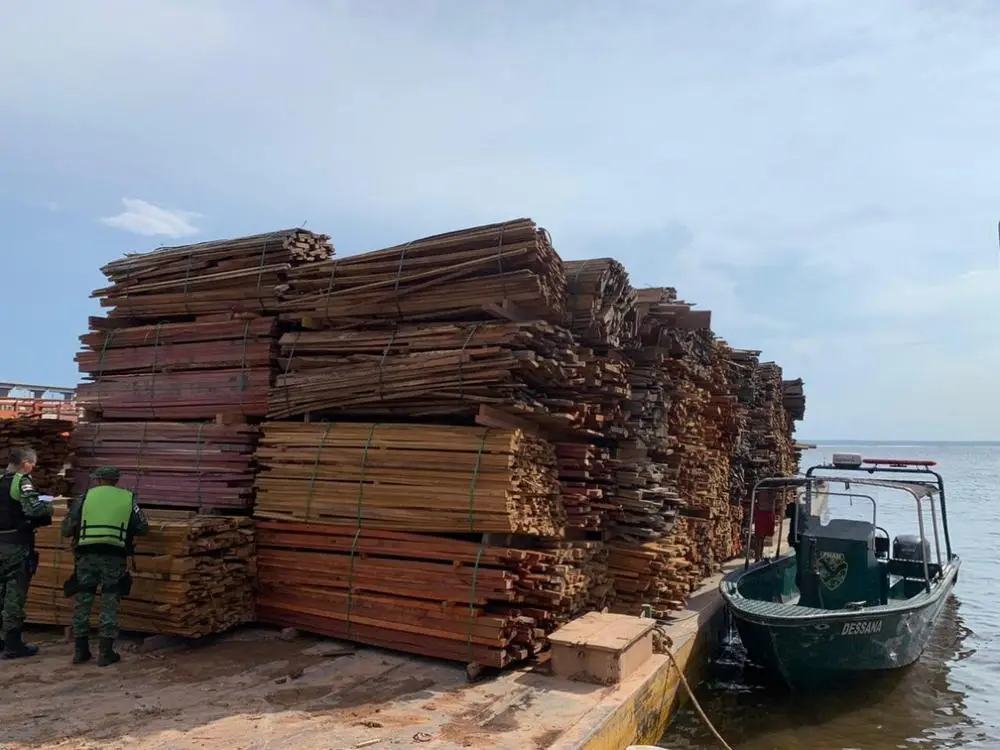 Batalhão Ambiental atua para apreensão de madeira ilegal no Amazonas. — Foto: Divulgação/PM-AM