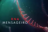 Pfizer e BioNTech concluem estudos da última fase dos testes clínicos da vacina contra Covid e anunciam 95% de eficácia (Foto: G1)