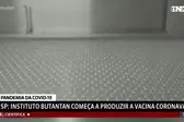 A fábrica do Instituto Butantan iniciou o envase da CoronaVac, vacina contra a Covid-19 produzida em parceria com o laboratório chinês Sinovac.  (Foto: g1)