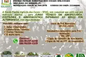 Foto: Divulgação (Foto: )