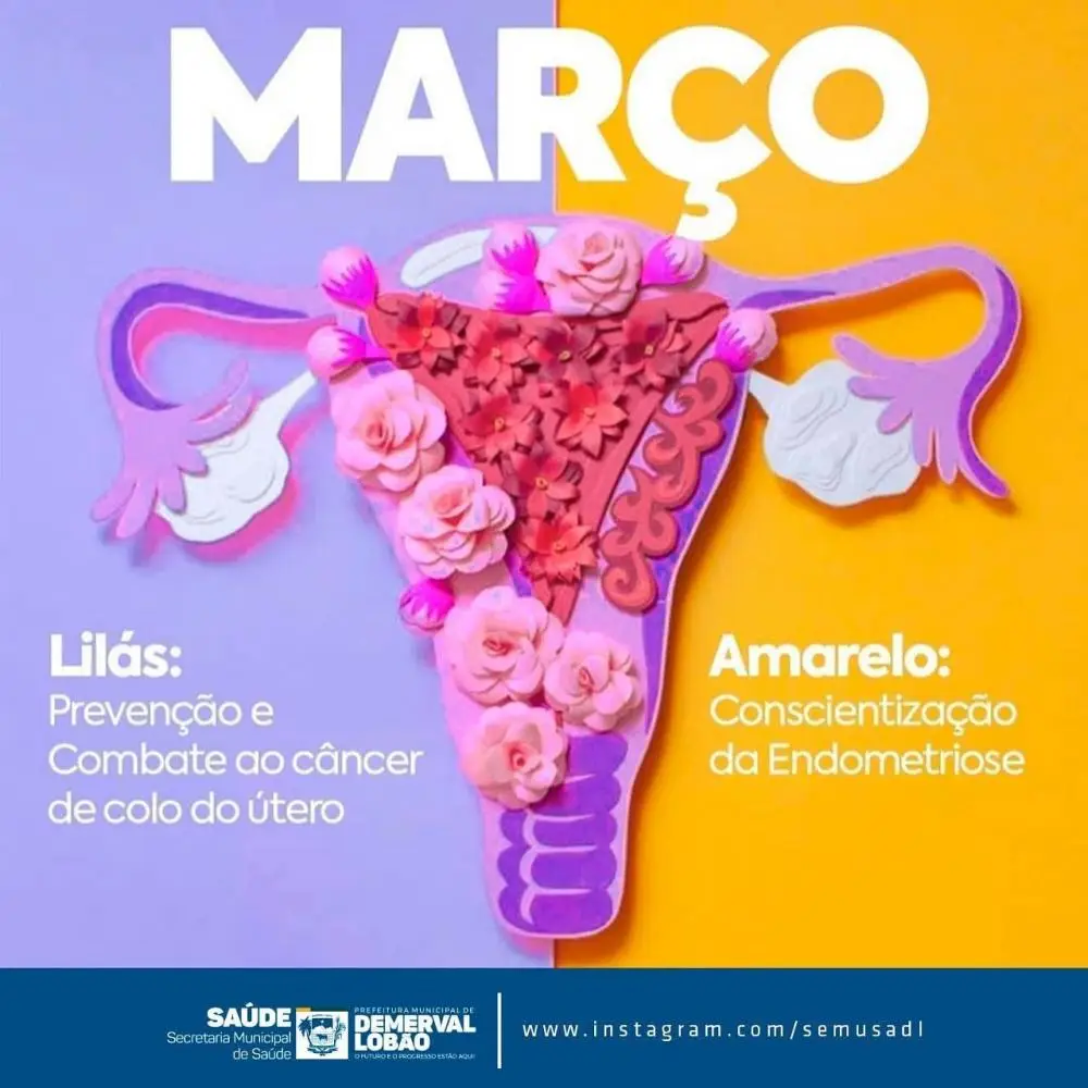Imagem: reprodução/pmdl