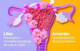 Imagem: reprodução/pmdl (Foto: Facebook/pmdl)