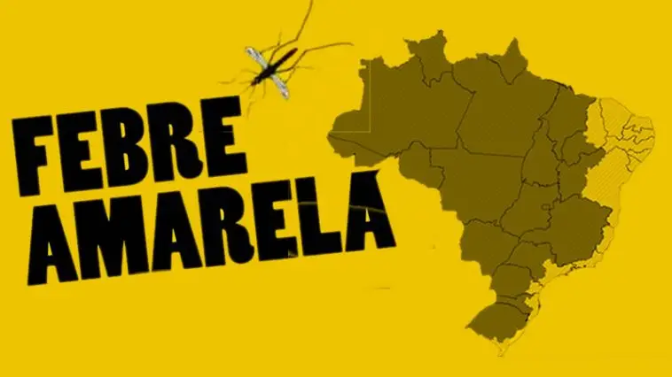 Febre Amarela