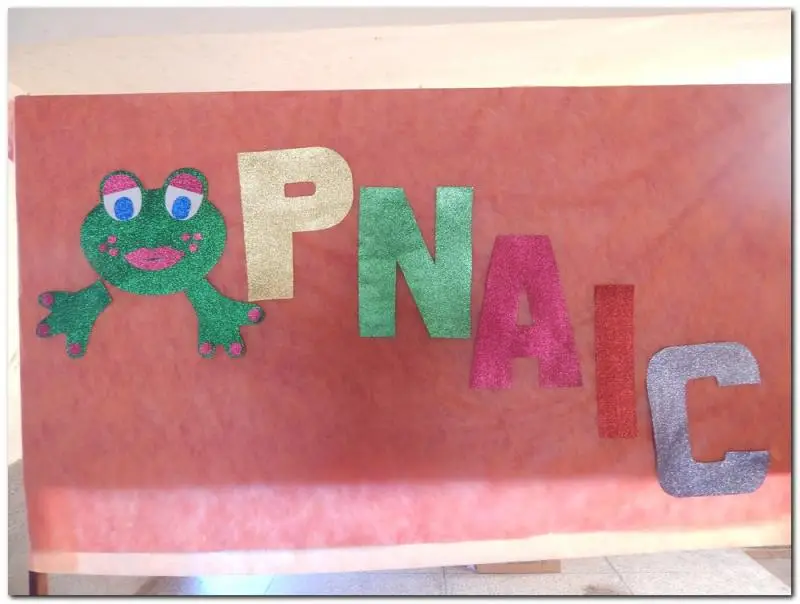 PNAIC
