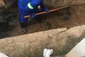 (Foto: SEC DE LIMPEZA PÚBLICA)