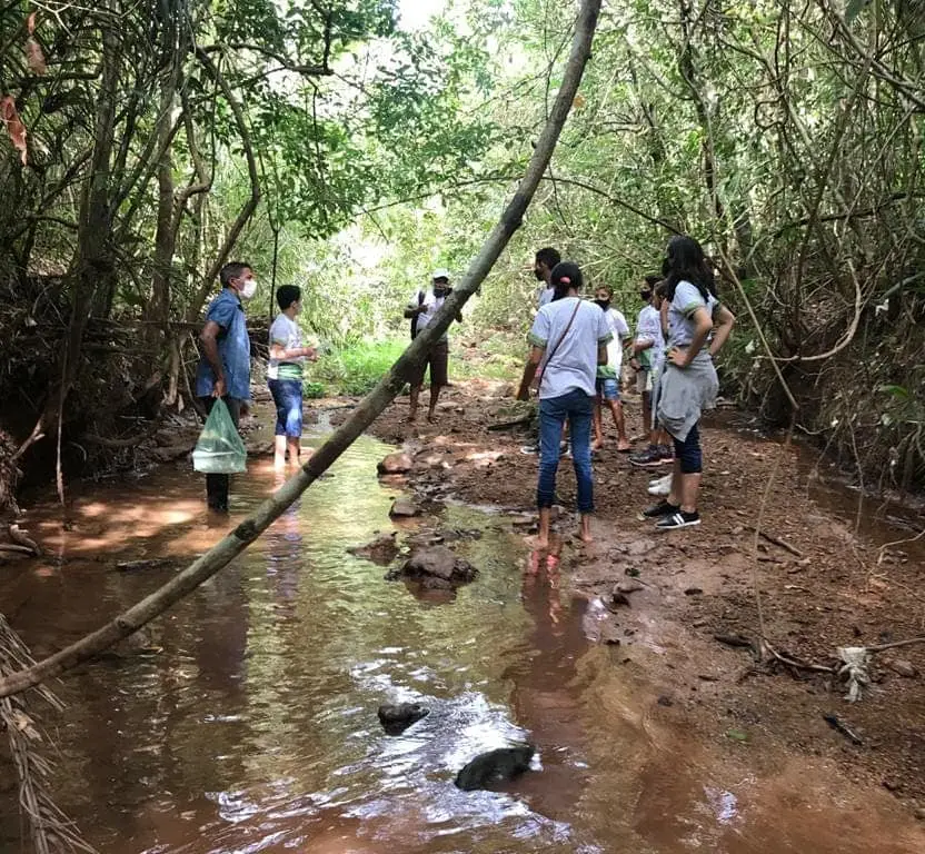 Foto: Reprodução