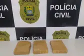 Foto: Polícia (Foto: )