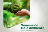 Foto: Reprodução (Foto: )
