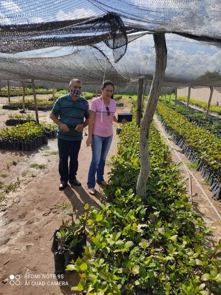 Ações da Secretaria Municipal de Agricultura
