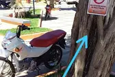  (Foto: ASSESSORIA DE IMPRENSA DA PREFEITURA)