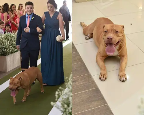 Foto: Facebook/Kátia Barbosa