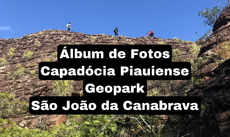 Álbum 