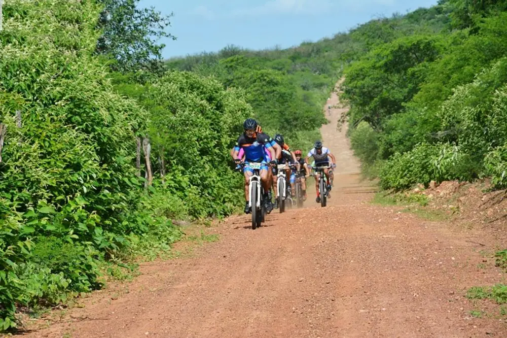 Ciclismo cidades na net