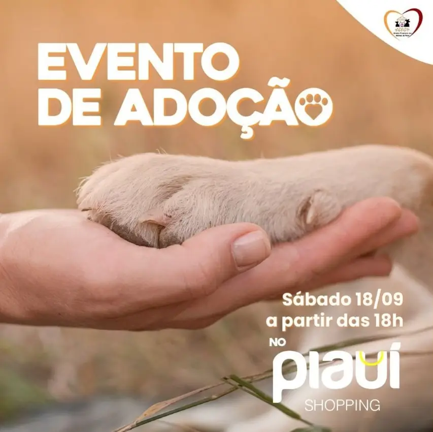 Imagem: Divulgação/ Apapi