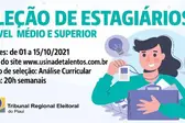 Foto: Divulgação (Foto: TRE)