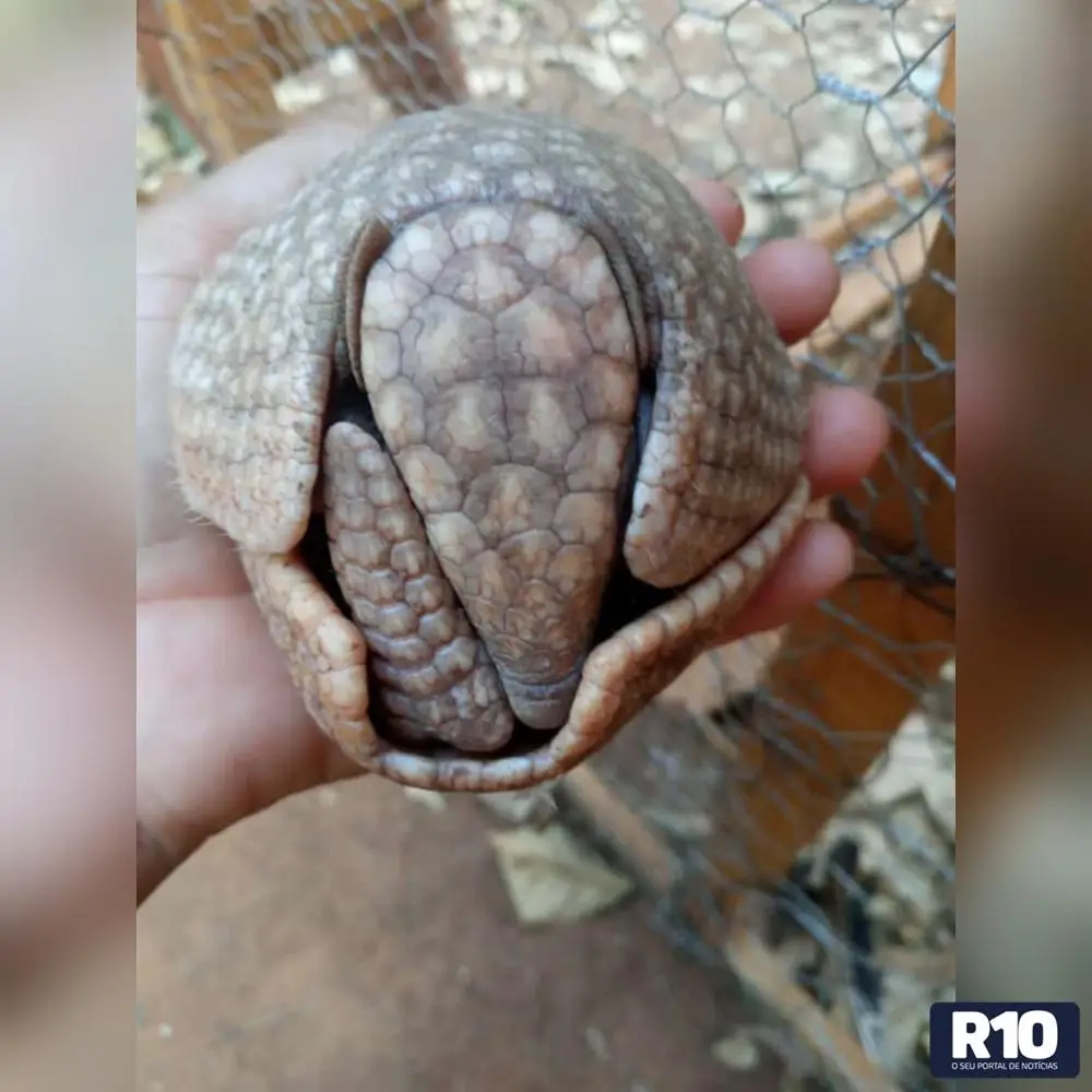 Visão notícias 360 graus mct