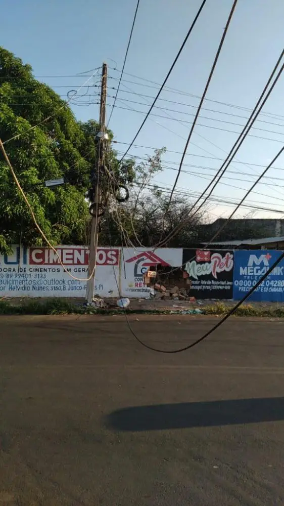 (Foto: Reprodução)