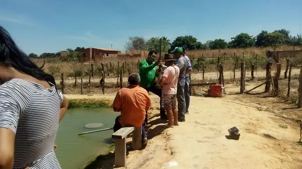 piscicultura em Colônia do Gurguéia