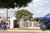 Dia de finados (Foto: ASCOM )