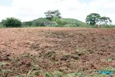 Leomar Duarte (Foto: Somos Notícias)