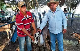 Secretário de Agricultura, Francisco Farias com produtor da região. (Foto: ASCOM - Prefeitura Municipal de Joaquim Pires.)