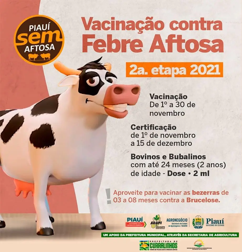 Vacinação contra Febre Aftosa