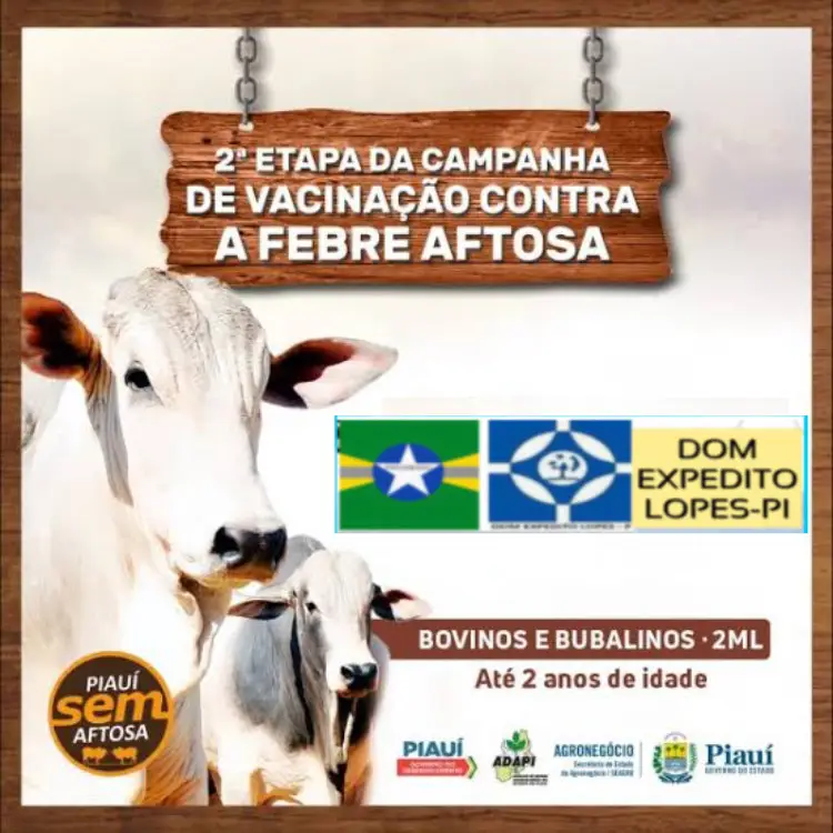 Vacinação Febre Aftosa