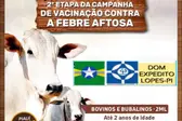 Vacinação Febre Aftosa (Foto: ASCOM )