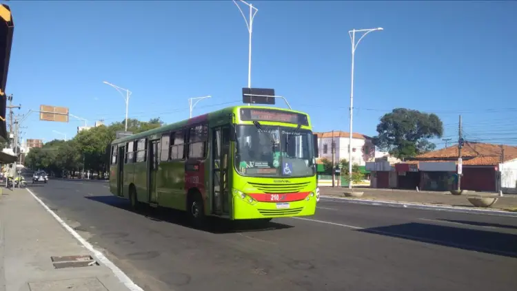 Divulgação/PMT