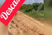 visão Notícias 360 graus (Foto: )