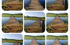  (Foto: )